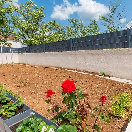 Дом отдыха 2 Bedroom Awesome In Sveti Fiilip I Jakov